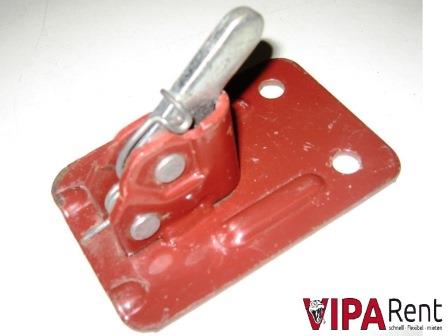 Spannschloss-Frosch-Gecko